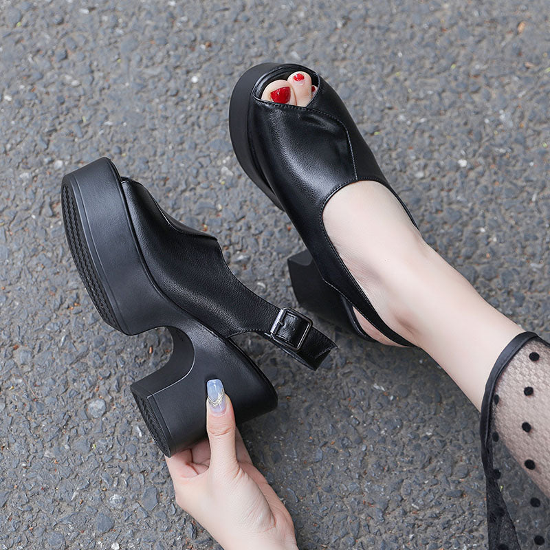 USS Shoes Sofia Women&