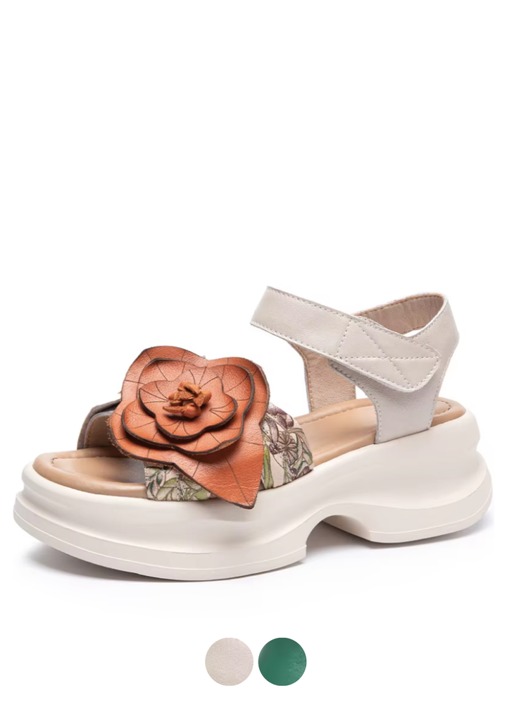 USS Shoes Burbu Women&