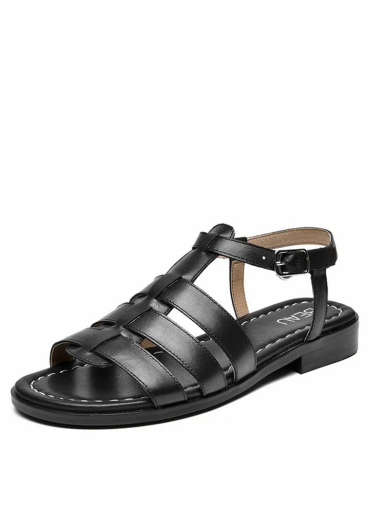 USS Shoes Clay Women&