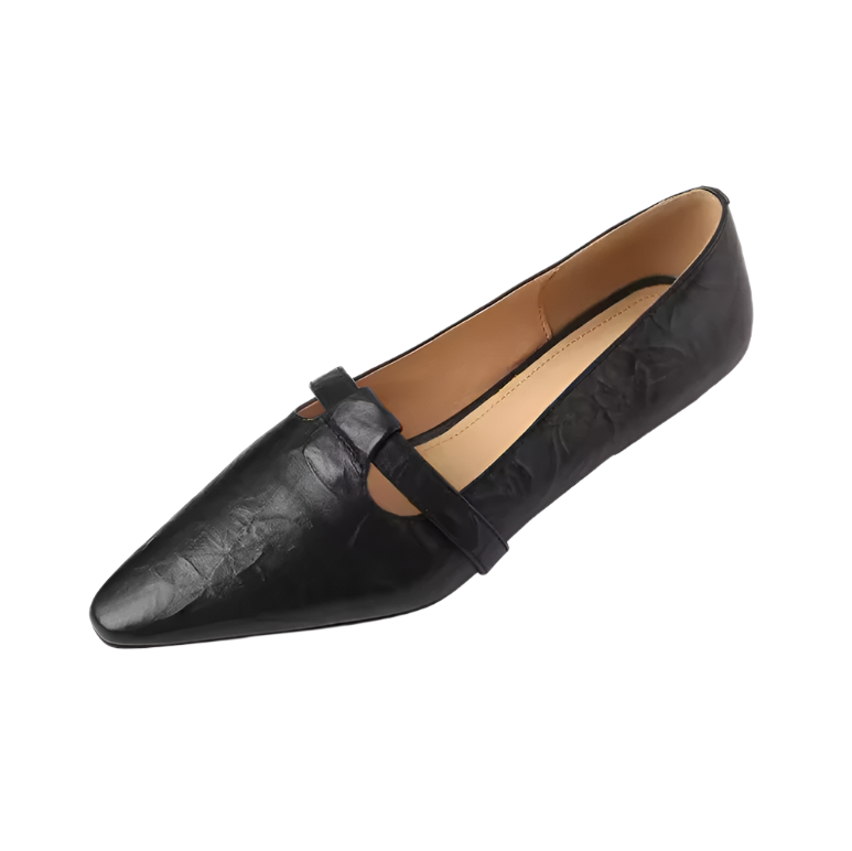 USS Shoes Kiara Women's Flats Pointed Casual Pumps