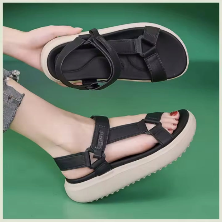 USS Shoes Lucy Women&