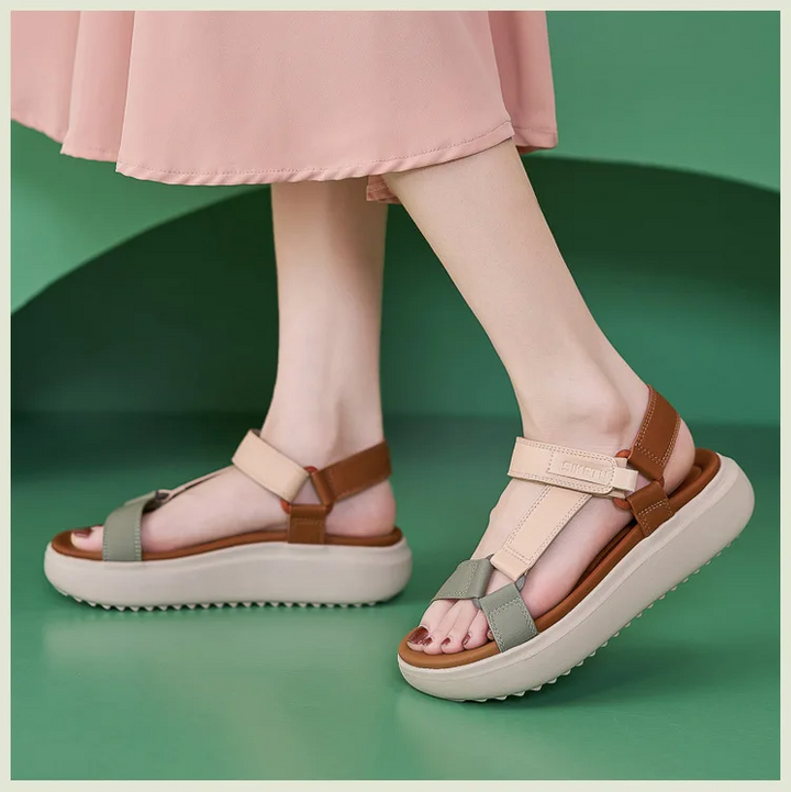 USS Shoes Lucy Women&