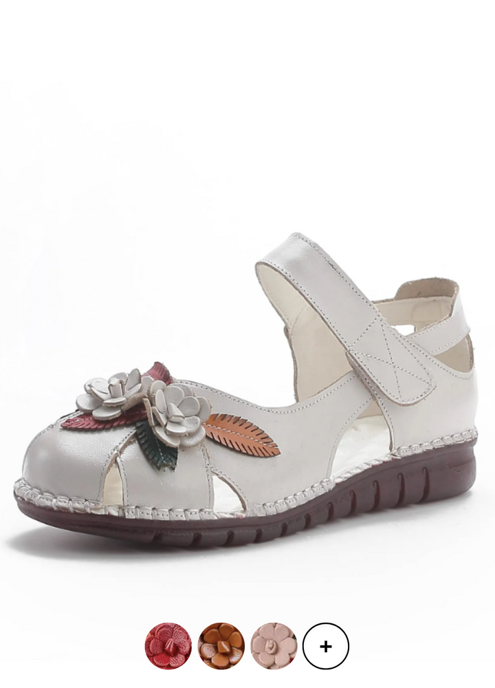 USS Shoes Moly Women&