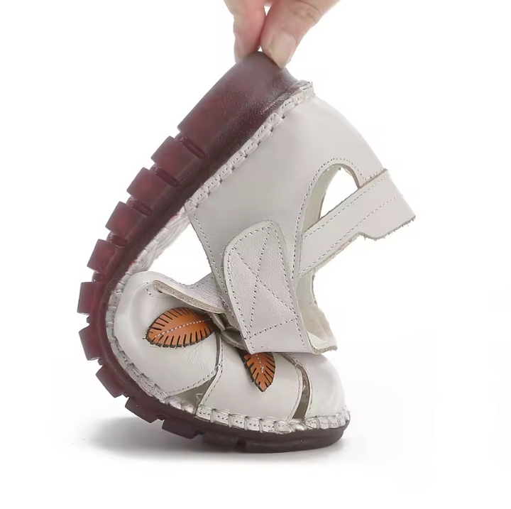 USS Shoes Moly Women&