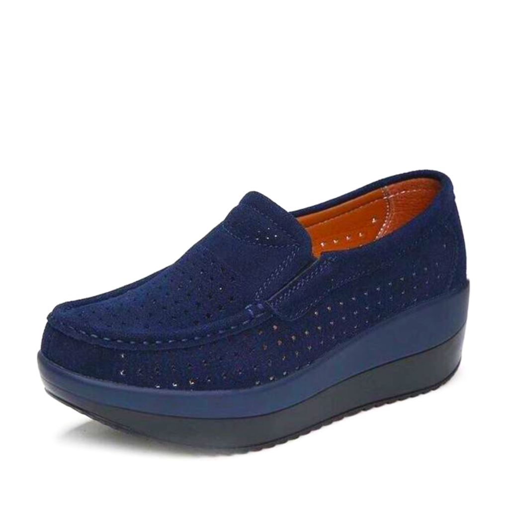 Navy Blue Hollow Shoes