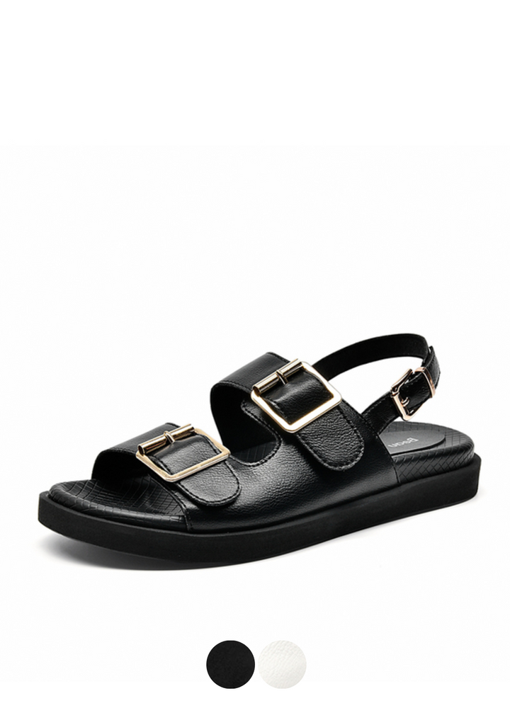 Madden Women&